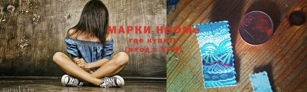 гидропоника Алзамай
