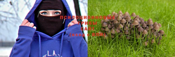герыч Абинск